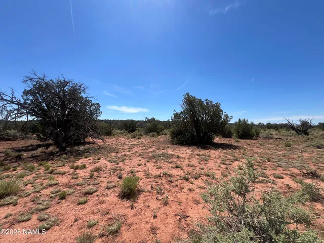 $29,990 | 6163 South Rim Ranch Road, Williams, AZ 86046