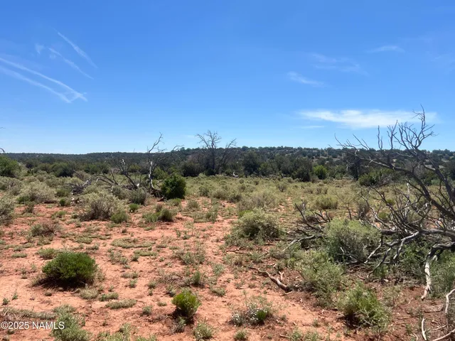 $29,990 | 6163 South Rim Ranch Road, Williams, AZ 86046