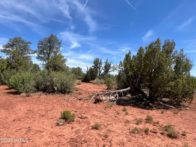 $29,990 | 6163 South Rim Ranch Road, Williams, AZ 86046