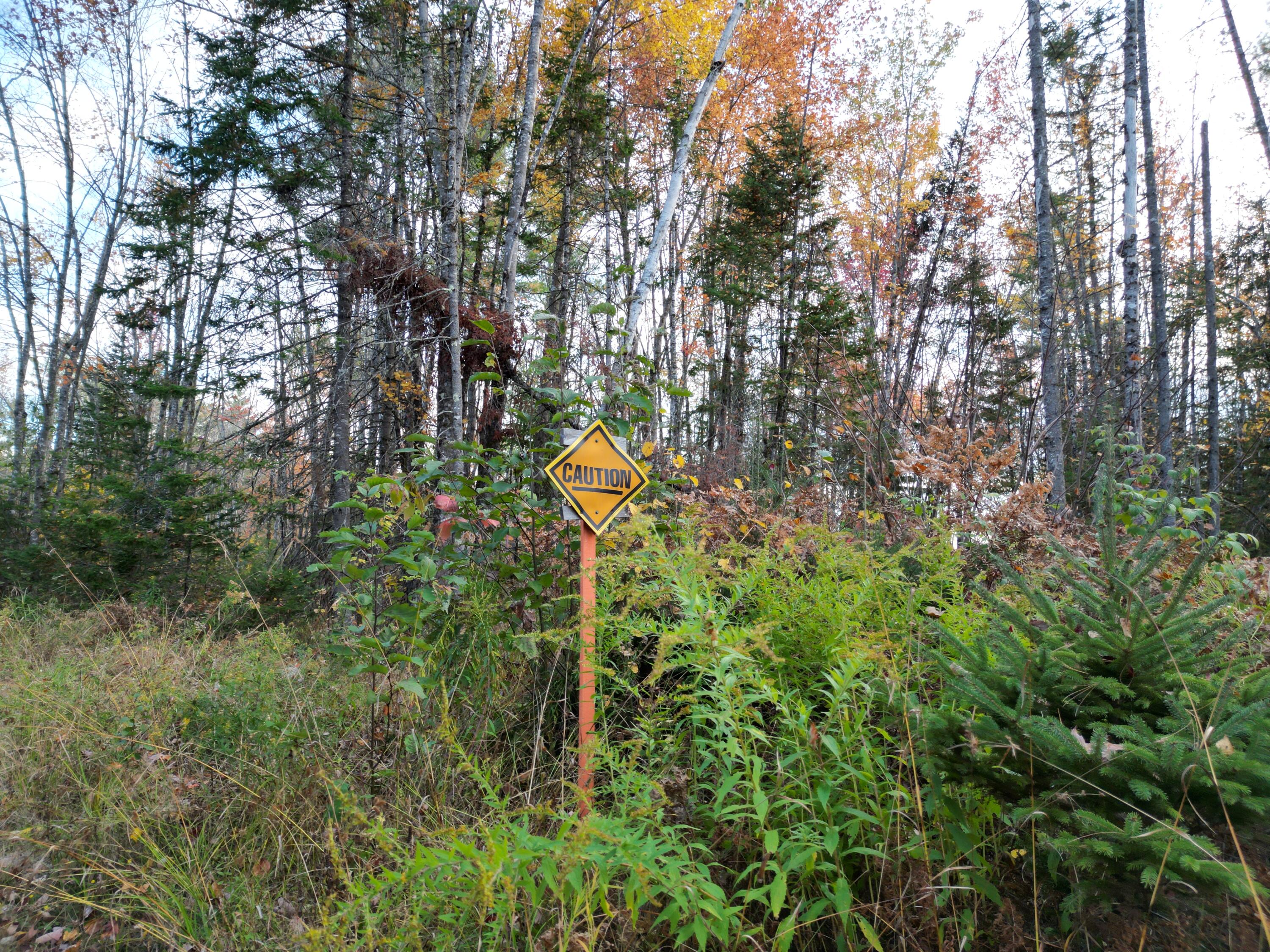 Off Basford Road Detroit, ME 04929 - Photo 14 of 19 DJI_0064