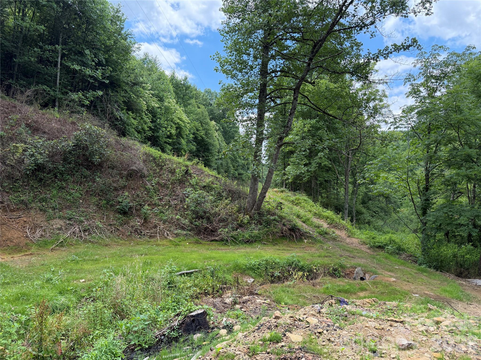 366 Renfro Road Green Mountain, NC 28740 - Photo 8 of 40 Gallery Image 8