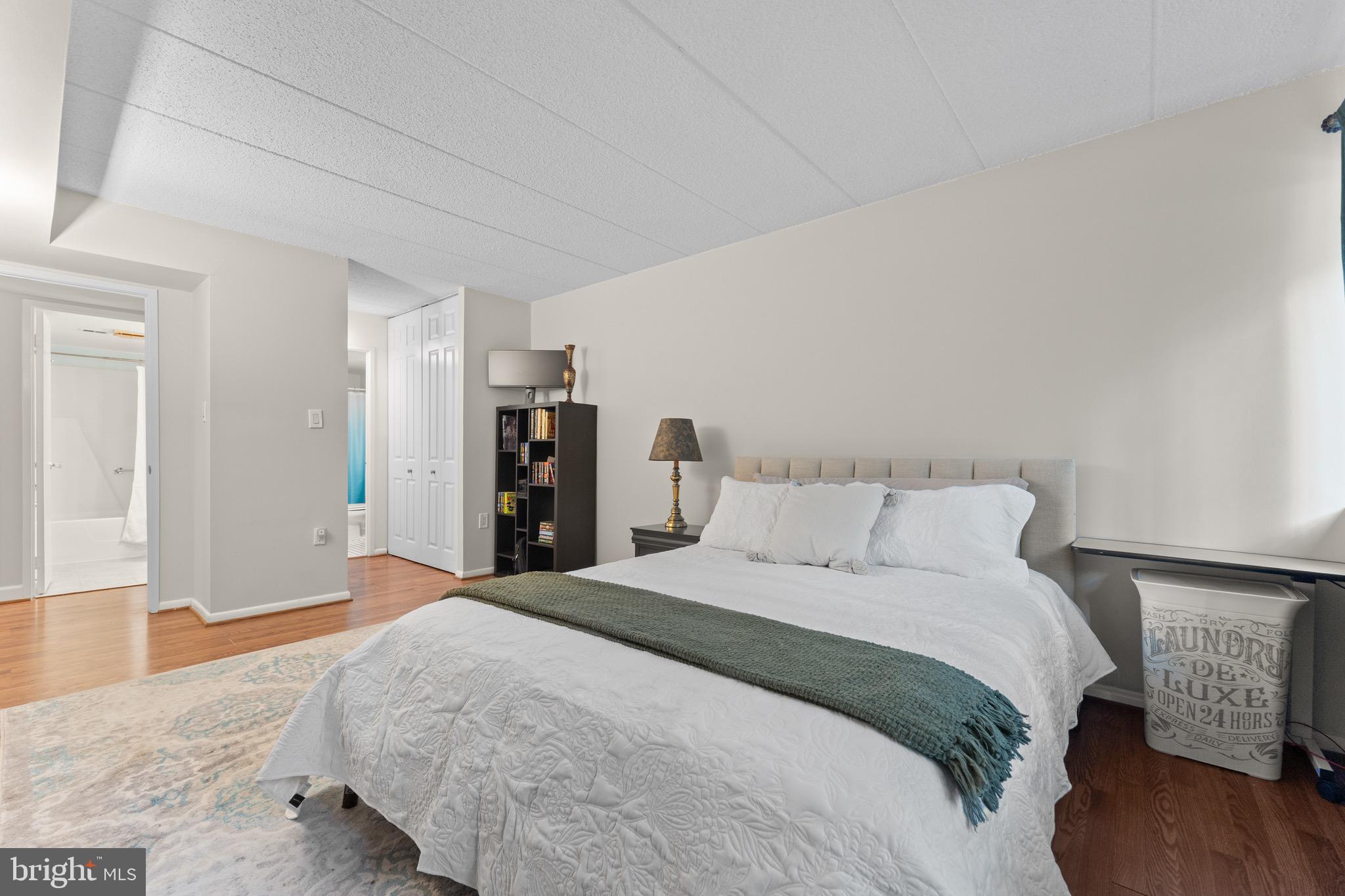 11617 Windbluff Court, Unit 9B Reston, VA 20191 - Photo 27 of 46 Primary bedroom with primary bathroom