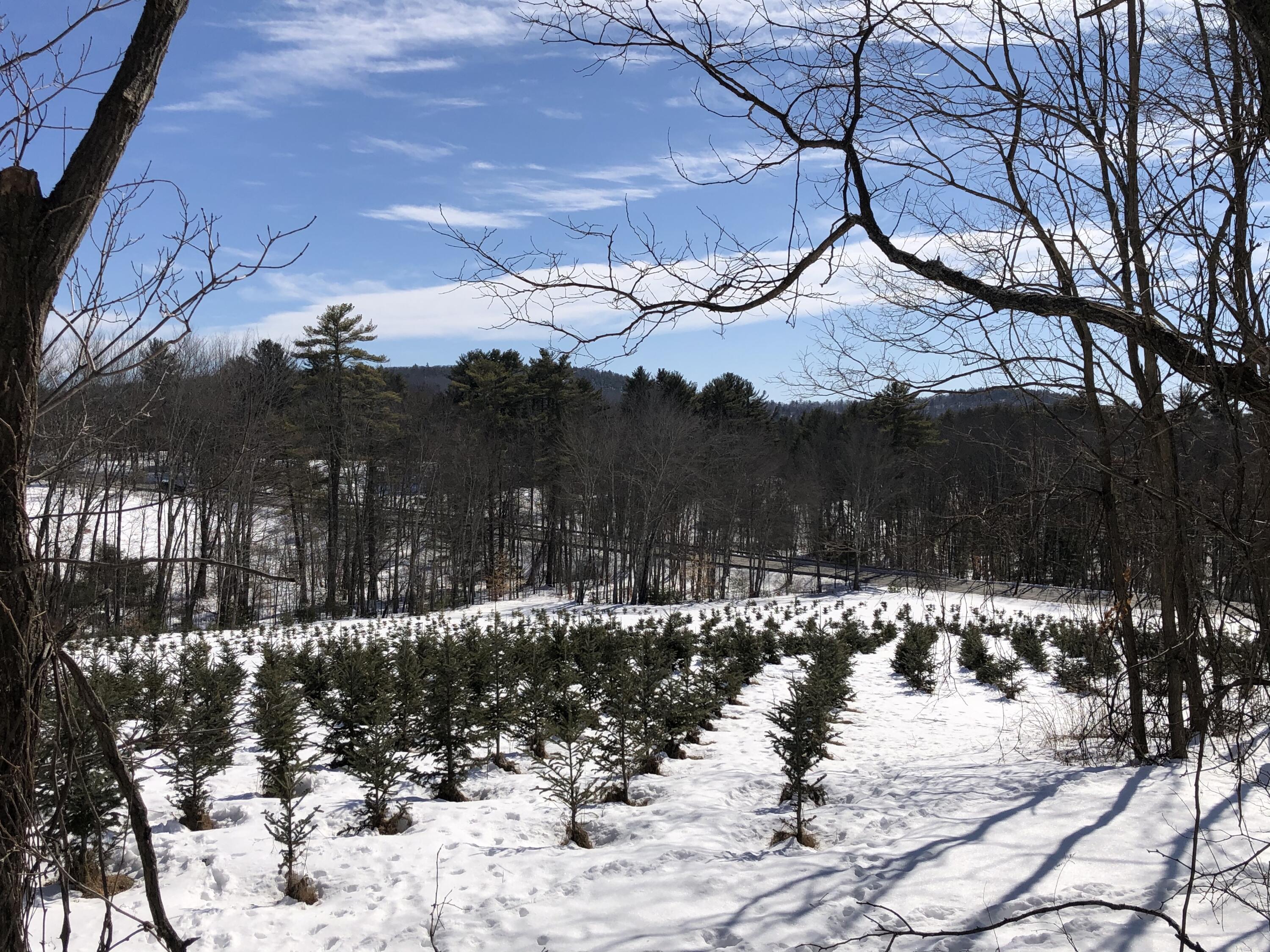 38 Burgess Road Casco, ME 04015 - Photo 24 of 66 Seasonal View