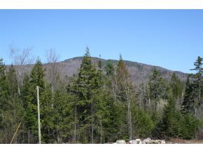 45 Gray Fox Road Effingham, NH 03882 - Photo 2 of 18