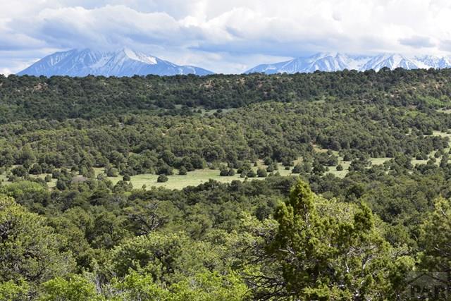 Parcel11 Majors Ranch Road Walsenburg, CO 81089 - Photo 1 of 1