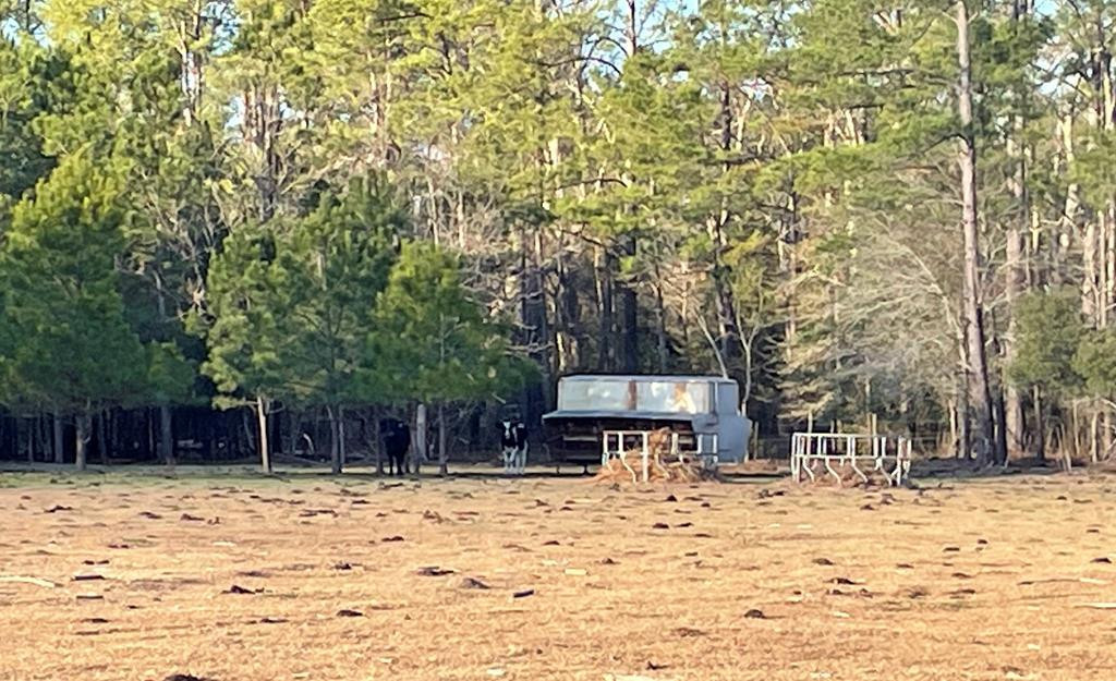 1370 Bachelor Hill Road Walterboro, SC 29488 - Photo 8 of 13 Gallery Image 8