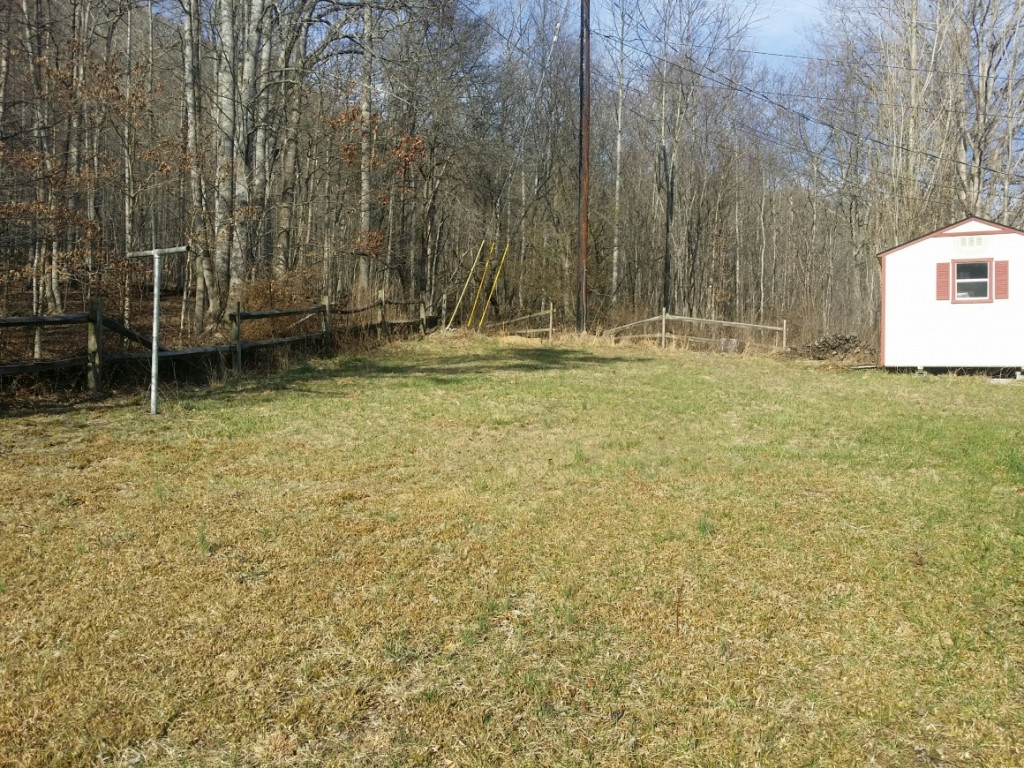 5415 Back Valley Road Big Stone Gap, VA 24219 - Photo 26 of 33 Private Back Yard