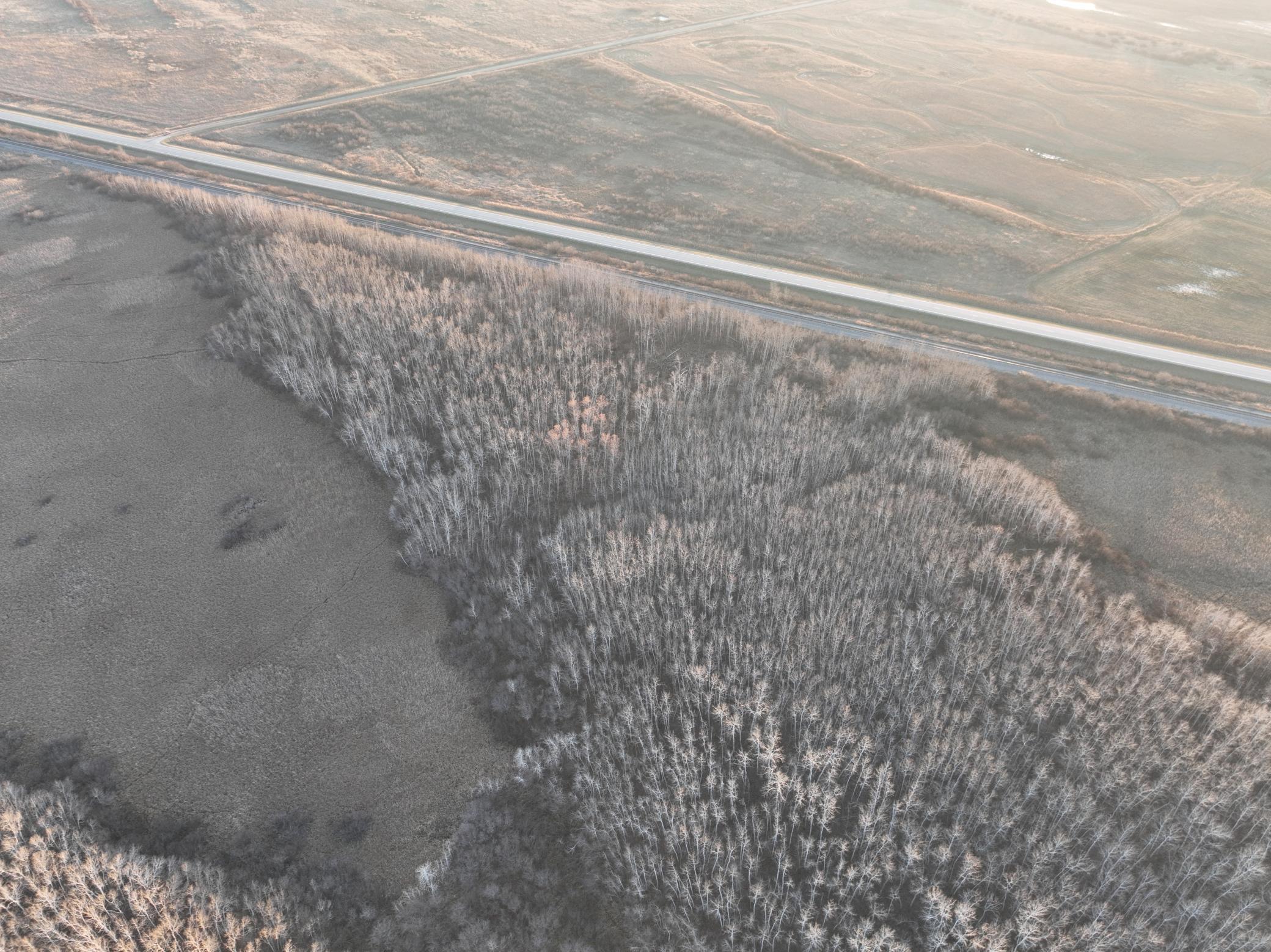 Tbd Tbd 400th Strandquist, MN 56758 - Photo 15 of 19