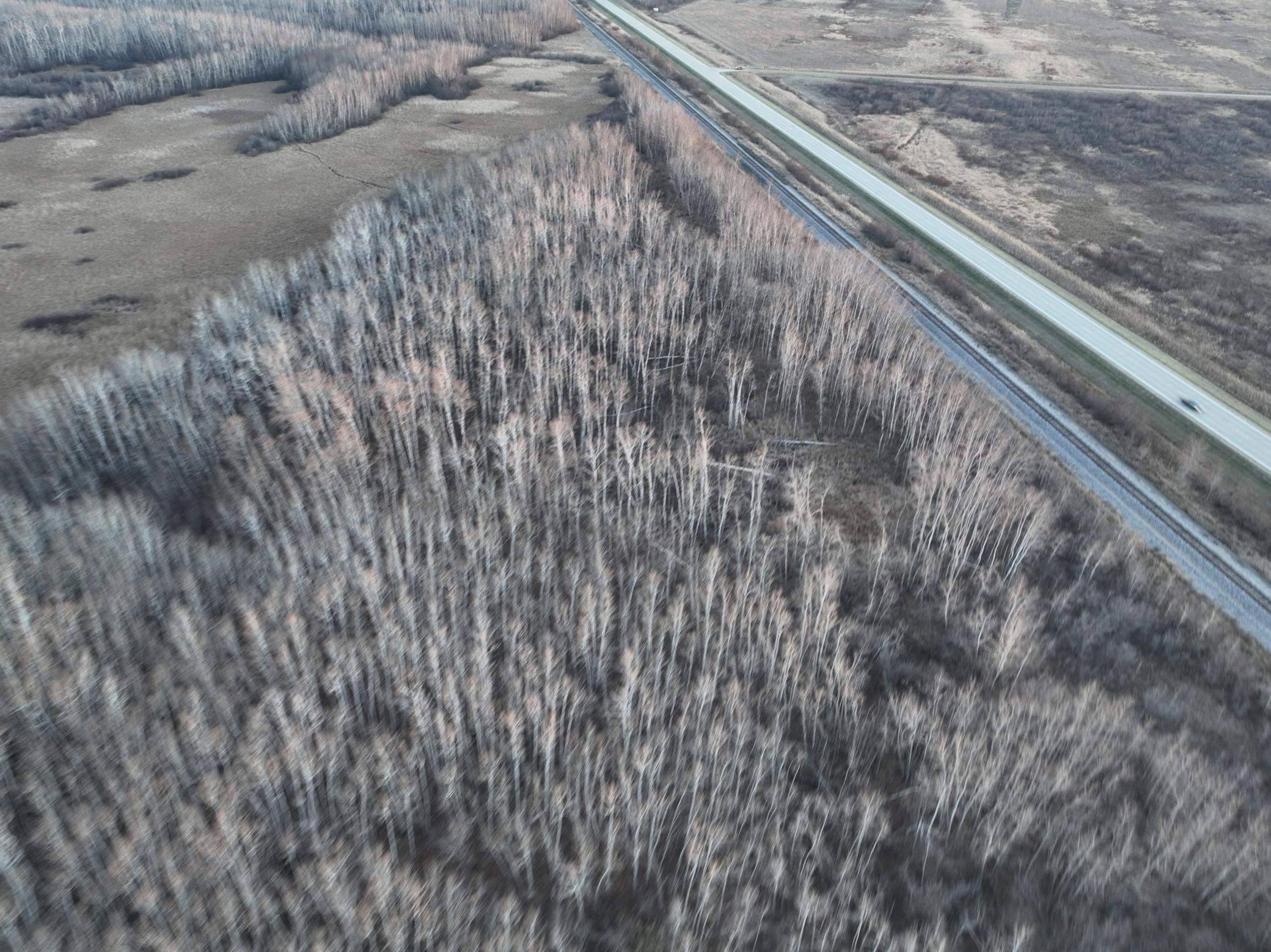 Tbd Tbd 400th Strandquist, MN 56758 - Photo 17 of 19