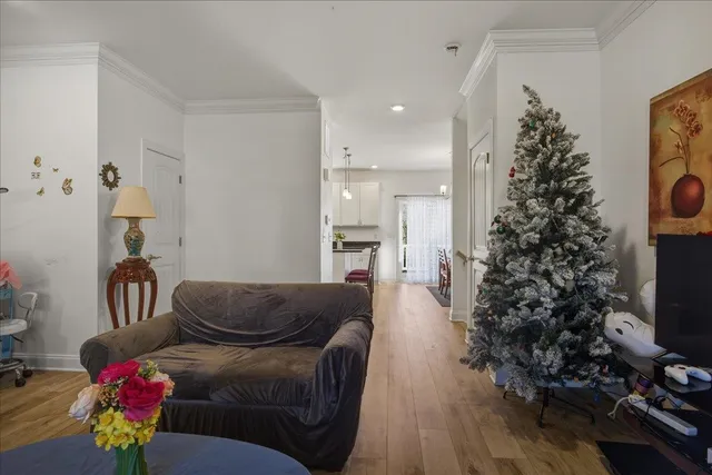 a living room with furniture and a potted plant