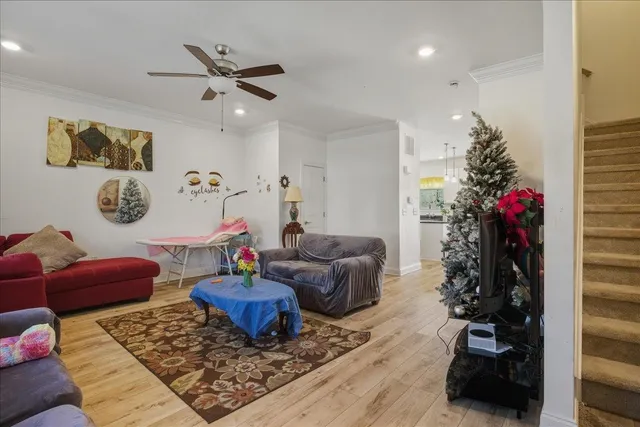 a living room with furniture and a potted plant