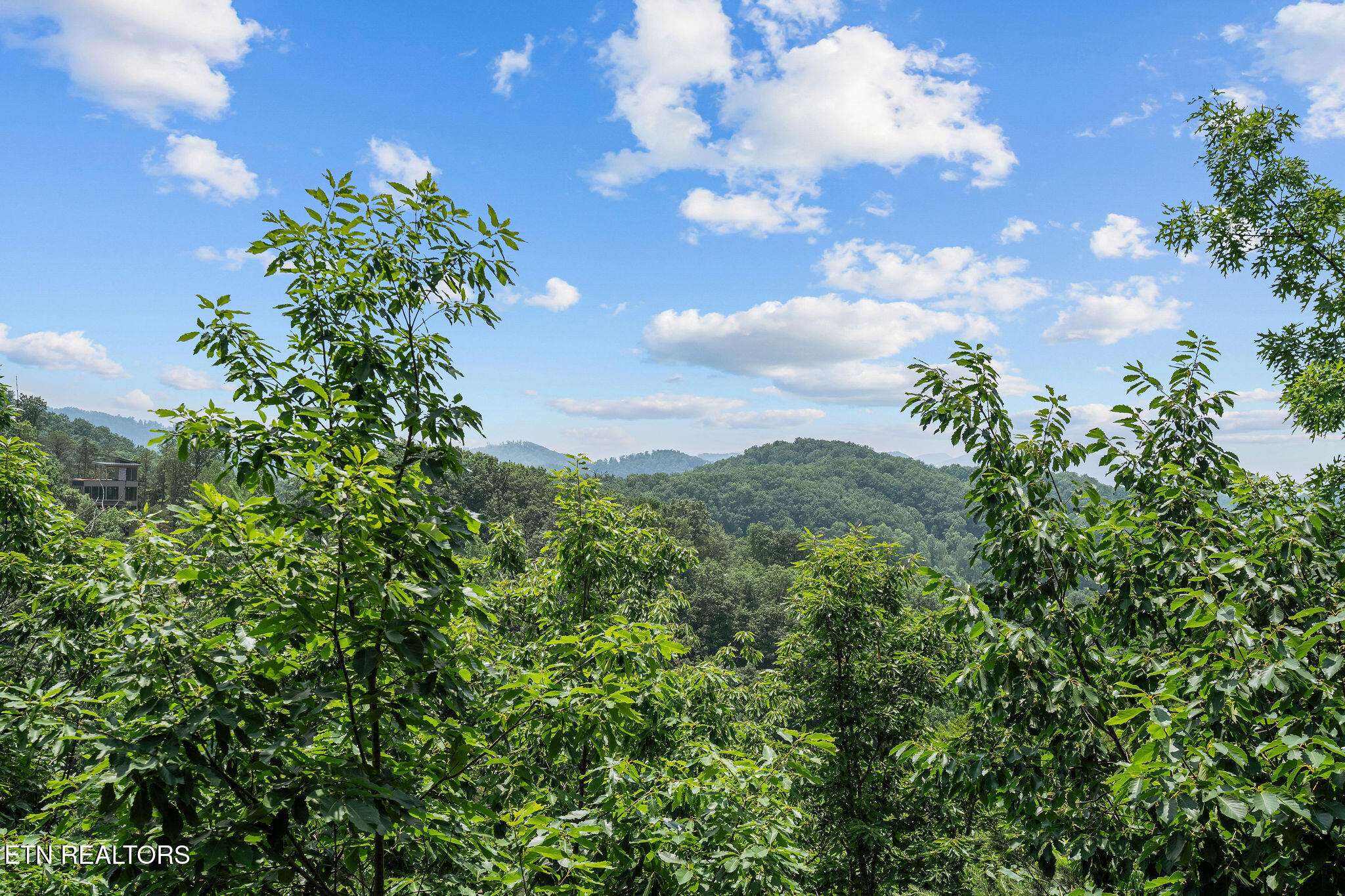 928 Falcon View Way Sevierville, TN 37862 - Photo 16 of 39 _DSC8594