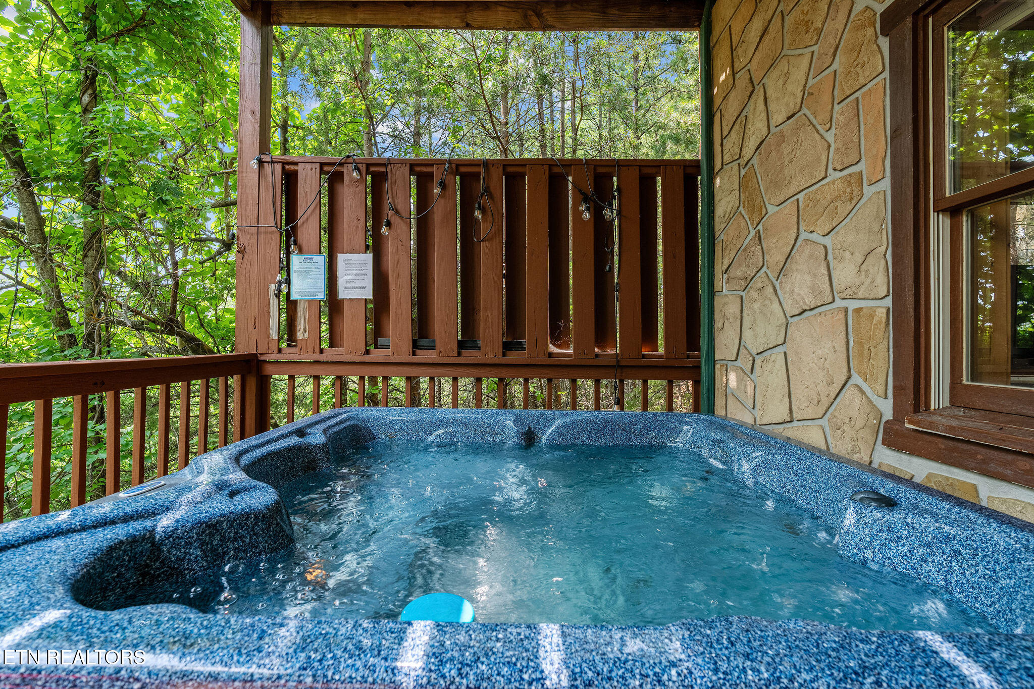 928 Falcon View Way Sevierville, TN 37862 - Photo 35 of 39 _DSC8649