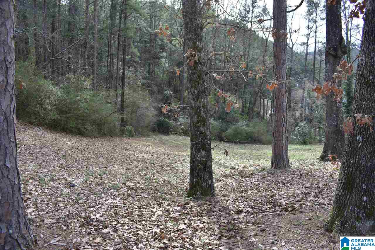 1116 Shadesmont Road, Unit 3 Homewood, AL 35226 - Photo 2 of 4 Gallery Image 2
