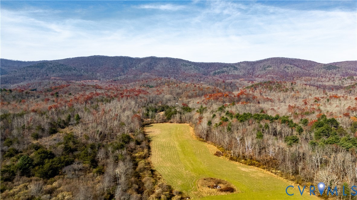 12322 Jackson River Road Monterey, VA 24465 - Photo 15 of 22 Expansive cleared field bordered by mature trees a