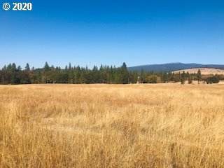 Foster Road Goldendale, WA 98620 - Photo 3 of 4 Gallery Image 3