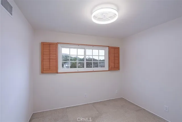 a view of a backyard with plants