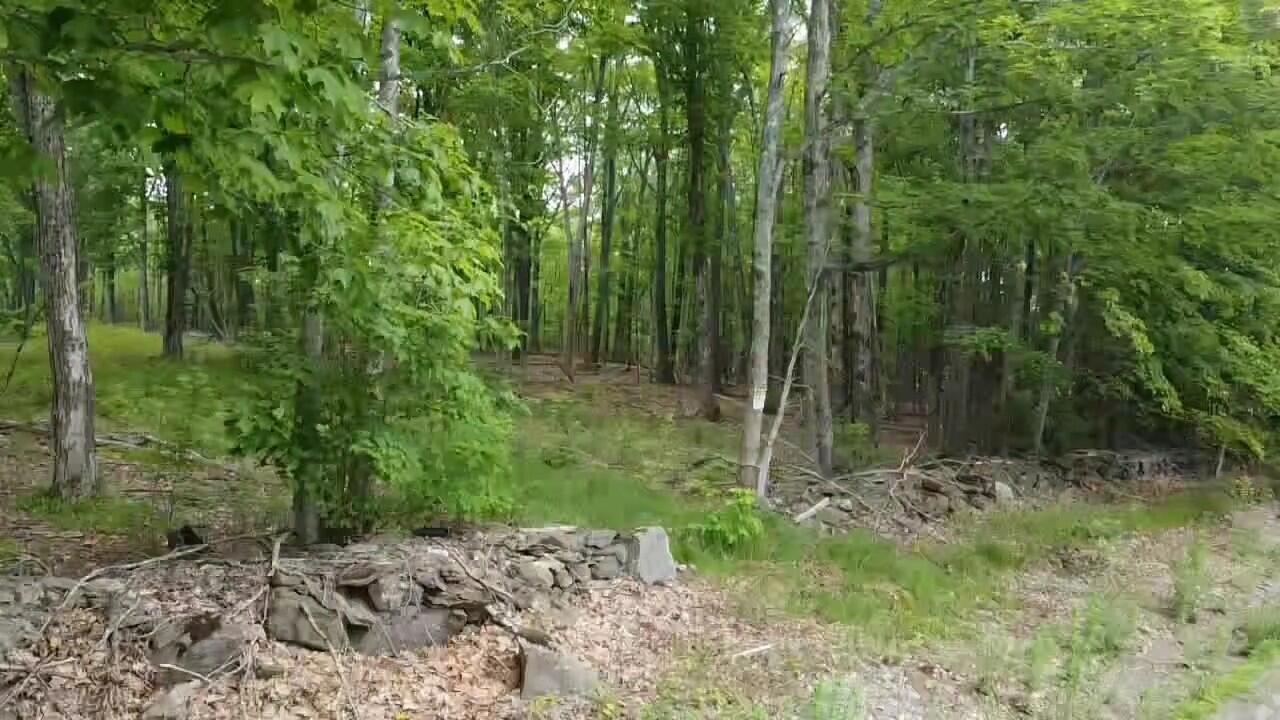 Map 8-lot Map 8-lot Stetson Road Levant, ME 04456 - Photo 9 of 13 dji_fly_20230613_093511_0_1686663311348_