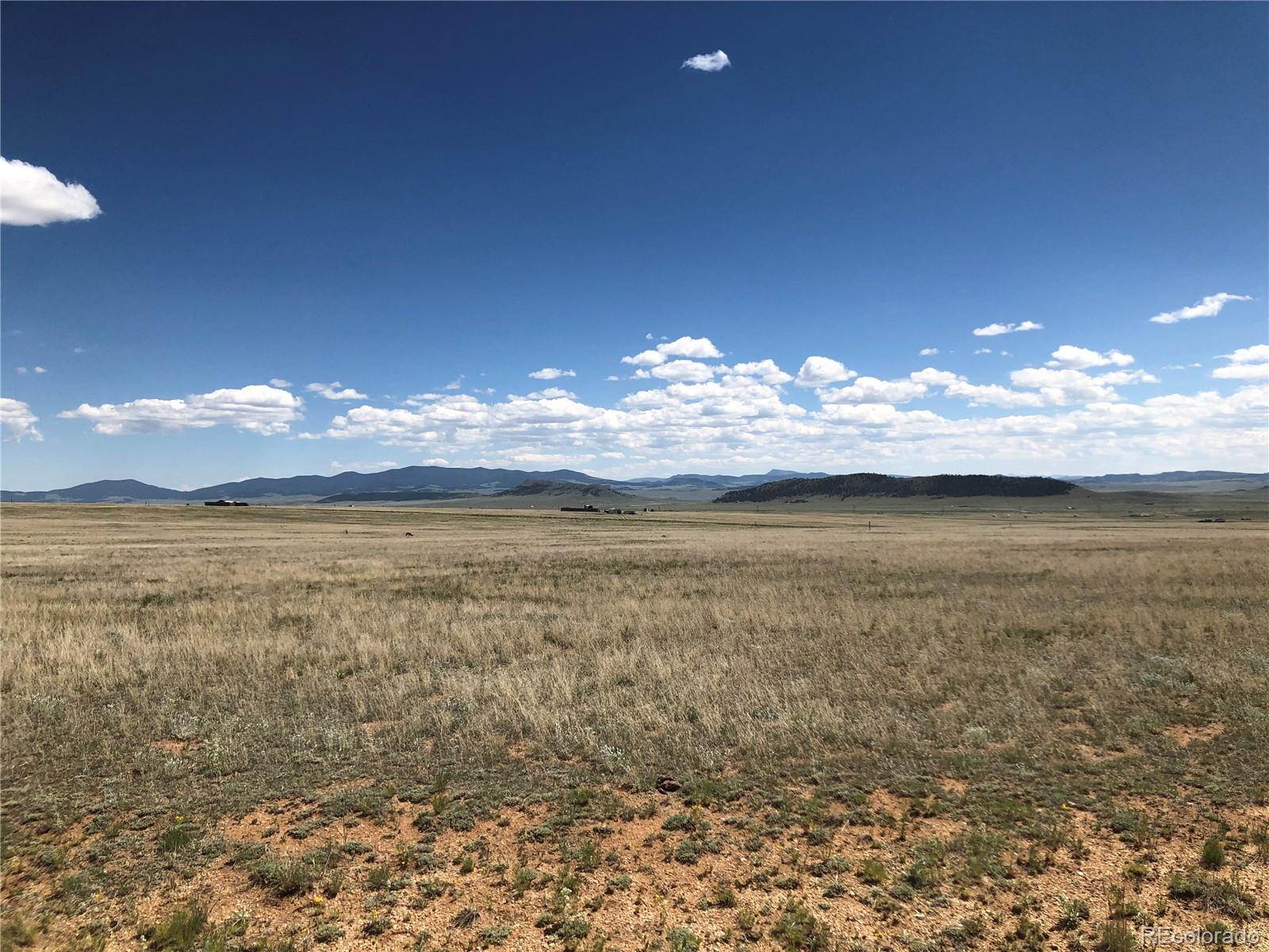 806 Garfield Road Hartsel, CO 80449 - Photo 3 of 19
