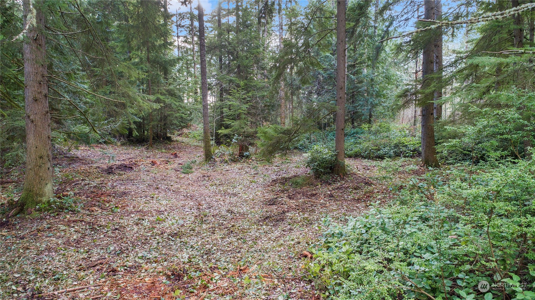 5020 Southeast Nelson Road Olalla, WA 98359 - Photo 4 of 12 Gallery Image 4