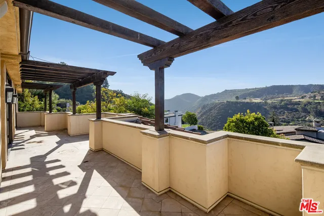 a view of a garden with plants and large trees