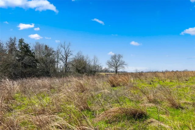 a view of a yard with an trees