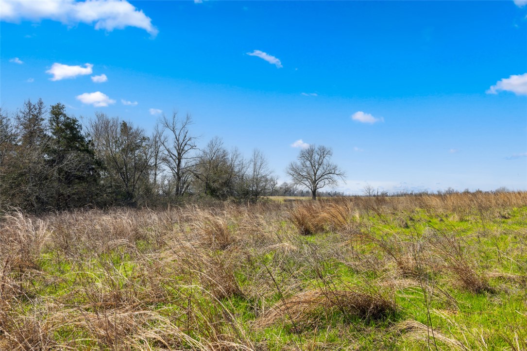 0 Fm 485 Cameron, TX 76520 - Photo 12 of 14 a view of a lake view