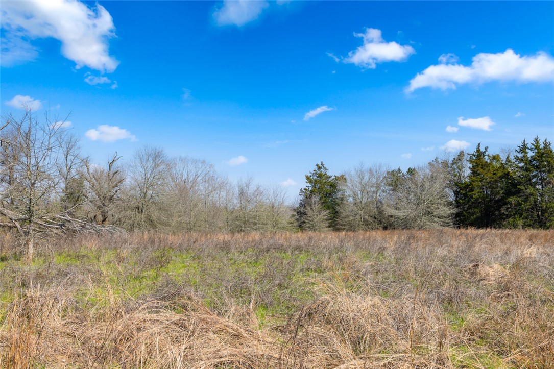 0 Fm 485 Cameron, TX 76520 - Photo 14 of 14 a view of a yard with an trees