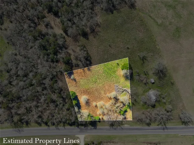 a view of a yard with plants