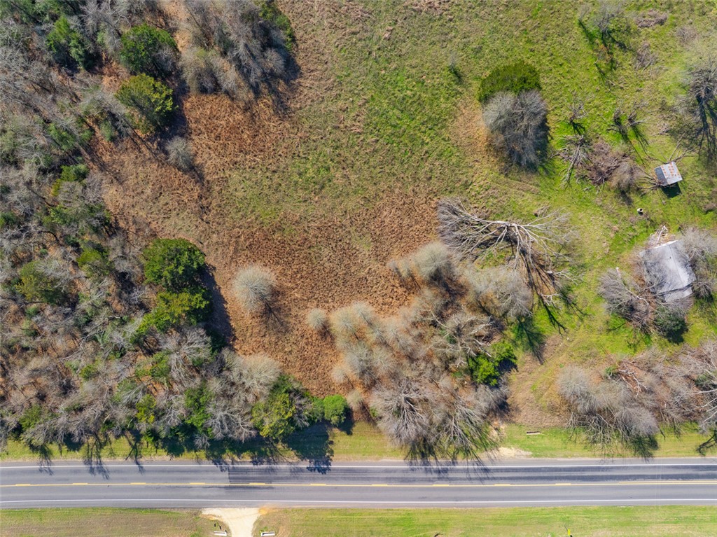 0 Fm 485 Cameron, TX 76520 - Photo 3 of 14 a view of a yard with plants