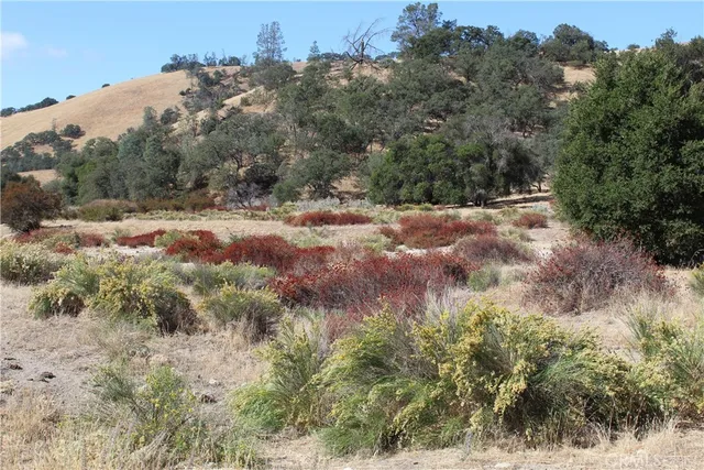 $348,000 | 71901 Vineyard Canyon Road, San Miguel, CA 93451