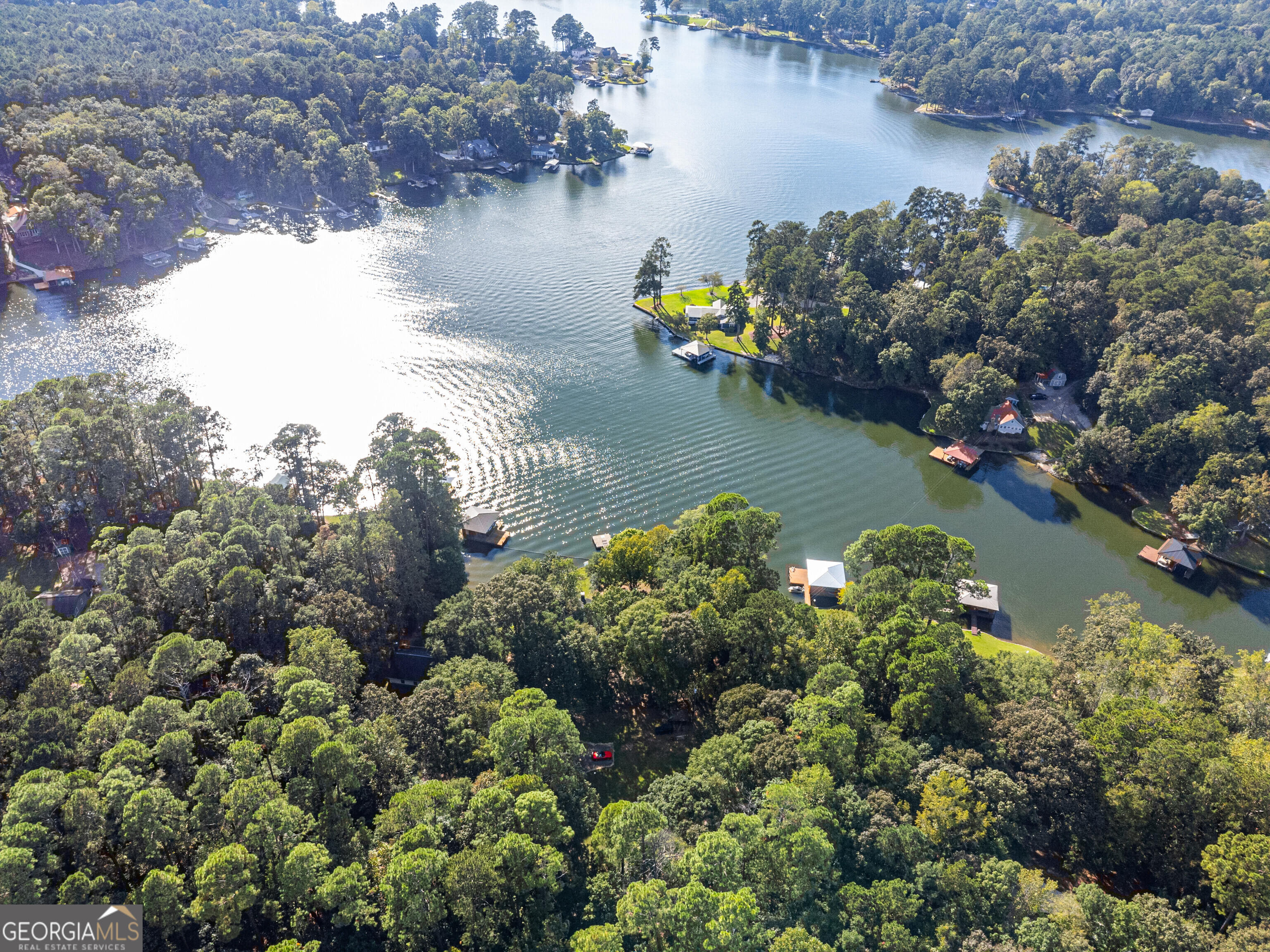 324 Blenny Run Jackson, GA 30233 - Photo 68 of 71 a view of a lake with boats and trees all around