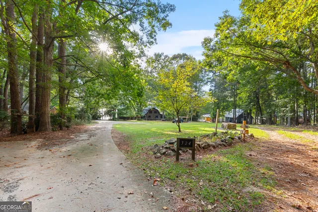 a view of a park with large trees