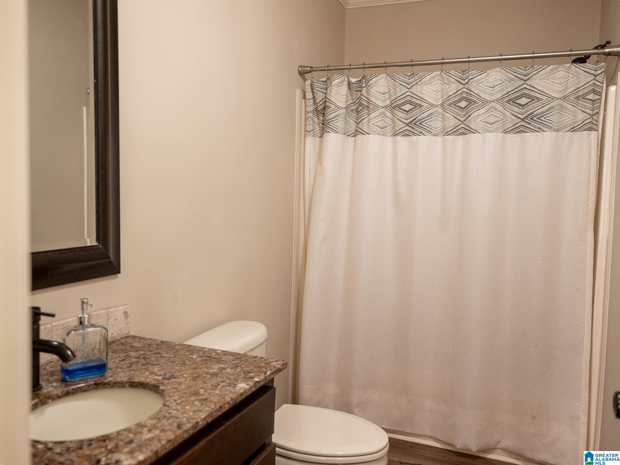 10715 Big Hurricane Road Brookwood, AL 35444 - Photo 45 of 47