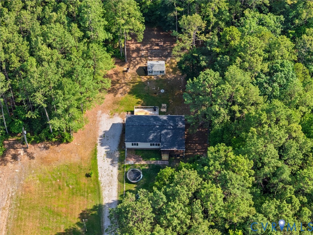 14175 Lebanon Road Disputanta, VA 23842 - Photo 5 of 60 Aerial perspective showcasing a property surrounde