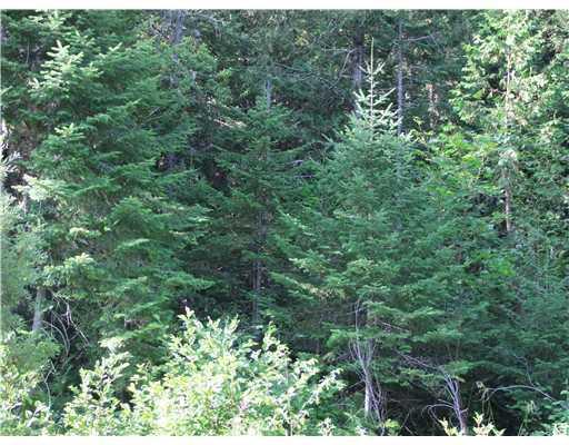 Lot 13 Hersom Road Easton, ME 04740 - Photo 6 of 10 Land.