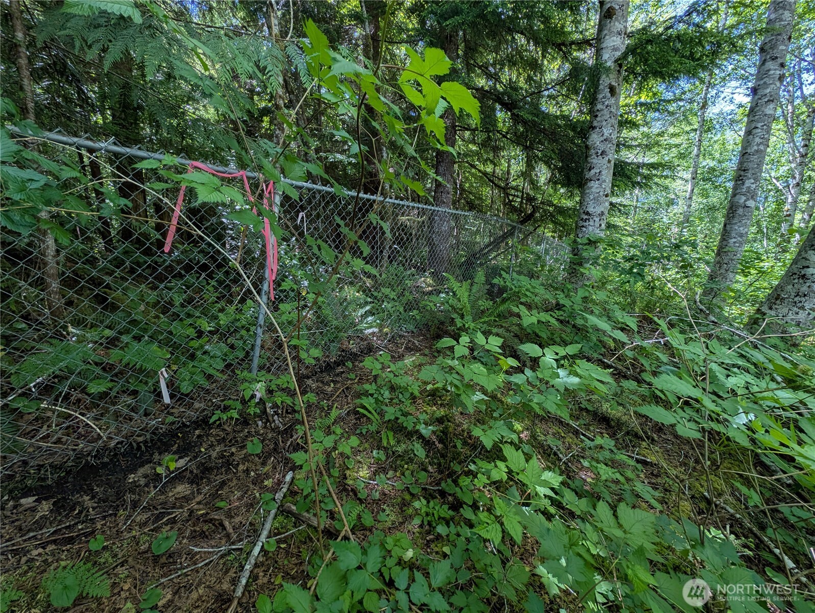 181327 Highway 101 Forks, WA 98331 - Photo 29 of 39