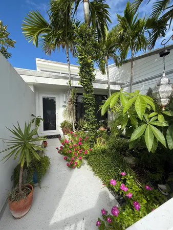 a potted plant sitting in front of a house