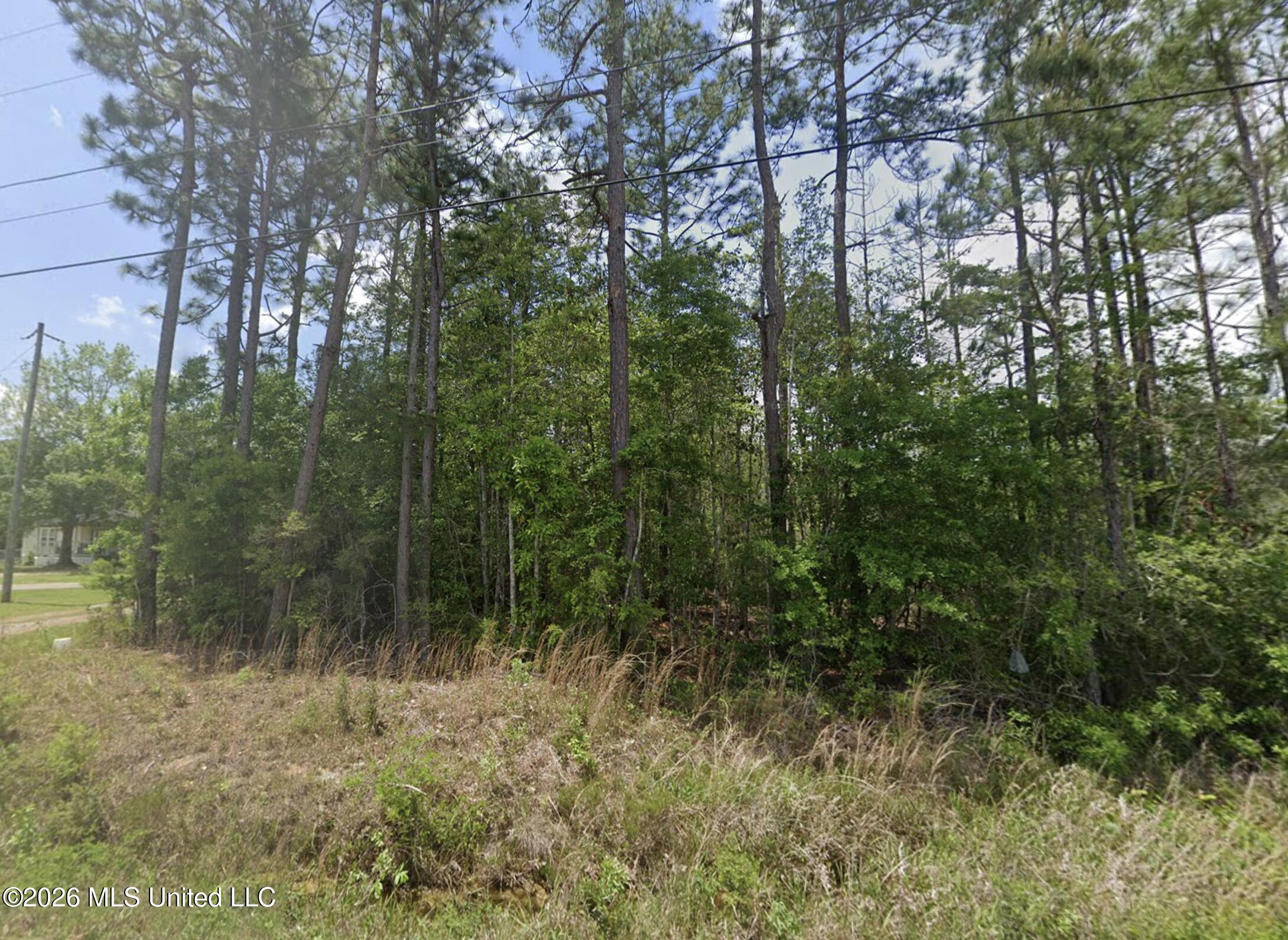 Lake Road McHenry, MS 39561 - Photo 1 of 2 street view