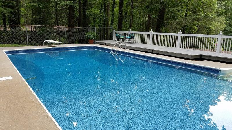 109 Newton Lane Oak Ridge, TN 37830 - Photo 34 of 40 Diving Allowed!