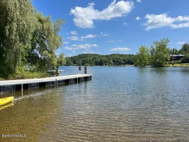 a view of a lake with houses in the back
