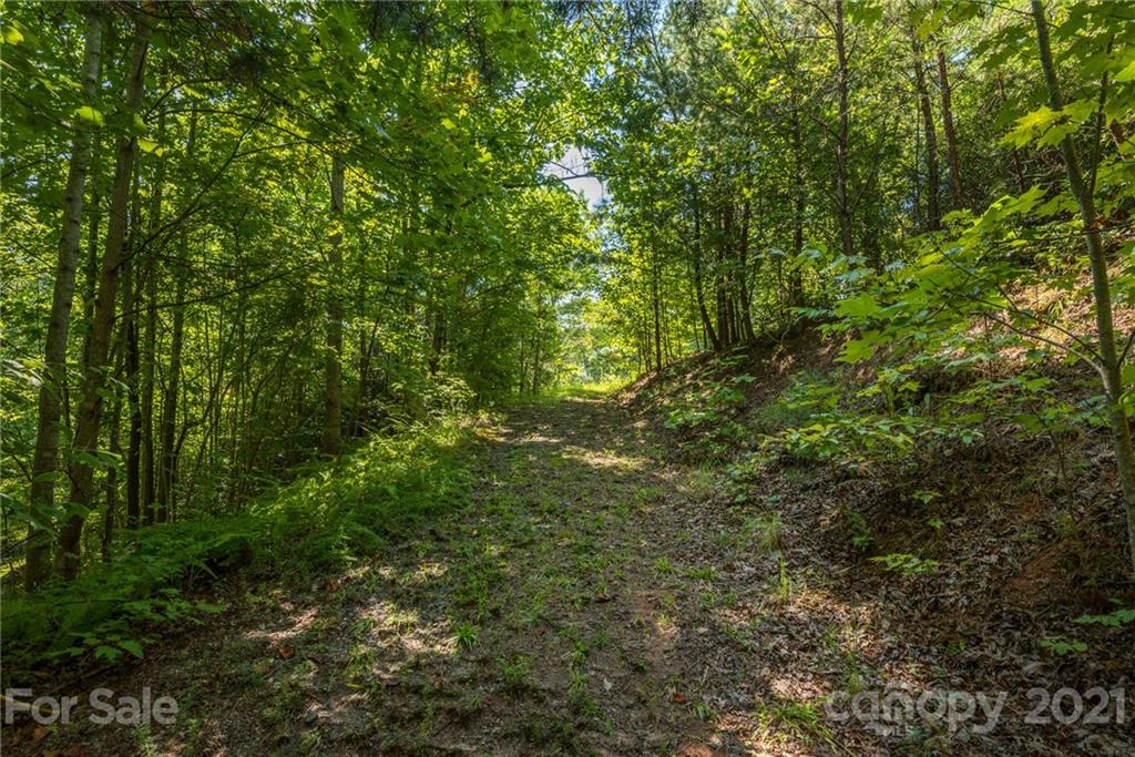 277 Long Ridge Road, Unit 882 889 880 Old Fort, NC 28762 - Photo 39 of 45 Gallery Image 39