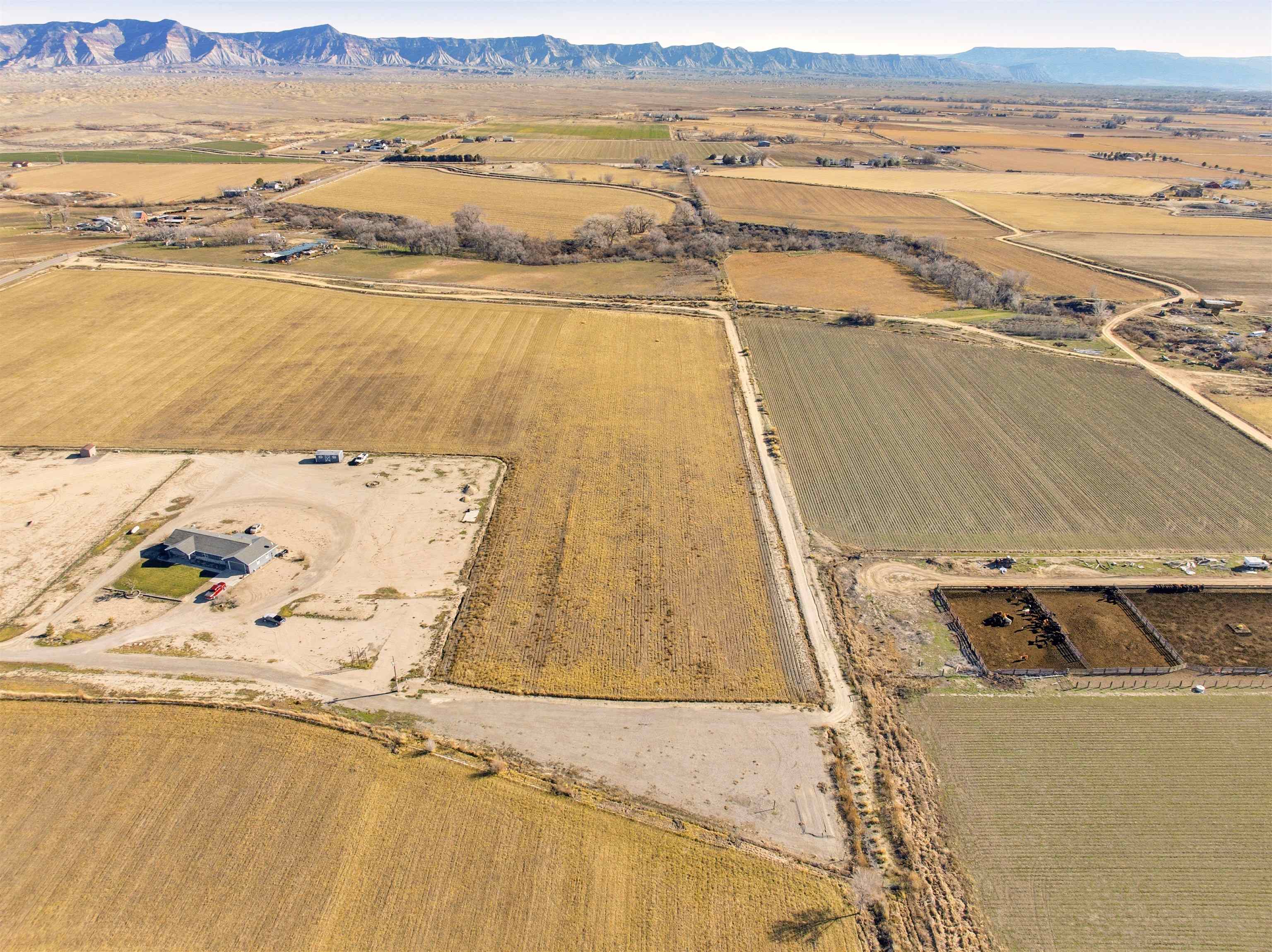 1835 O Road Fruita, CO 81521 - Photo 13 of 22 Gallery Image 13