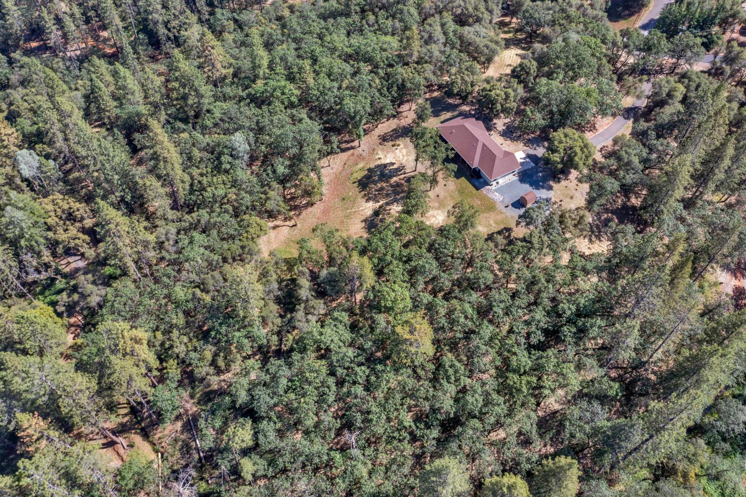 2469 Secret Ravine Trail Cool, CA 95614 - Photo 73 of 80