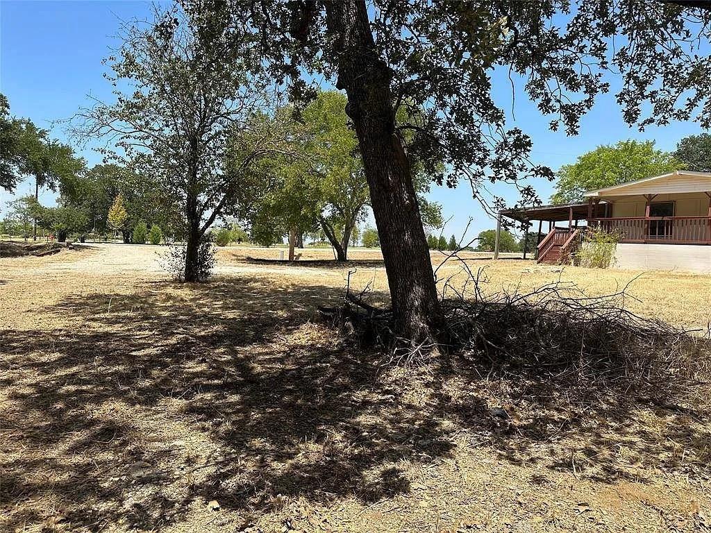 805 Lloyd's Road Little Elm, TX 75068 - Photo 14 of 19 a view of a yard with large trees
