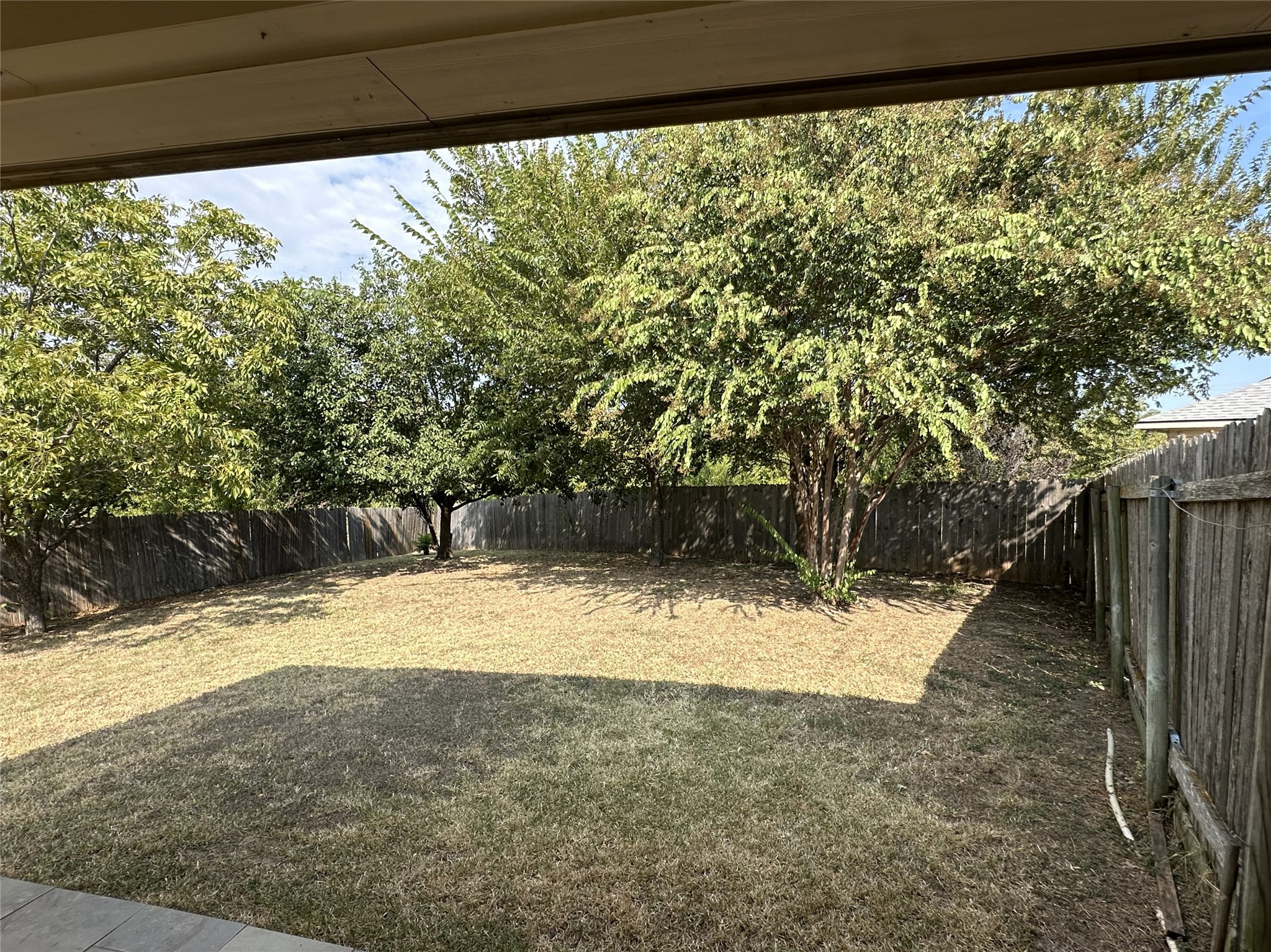 722 Ranier Lane Round Rock, TX 78665 - Photo 19 of 24 Mature trees line the perimeter of this fenced grassy yard.