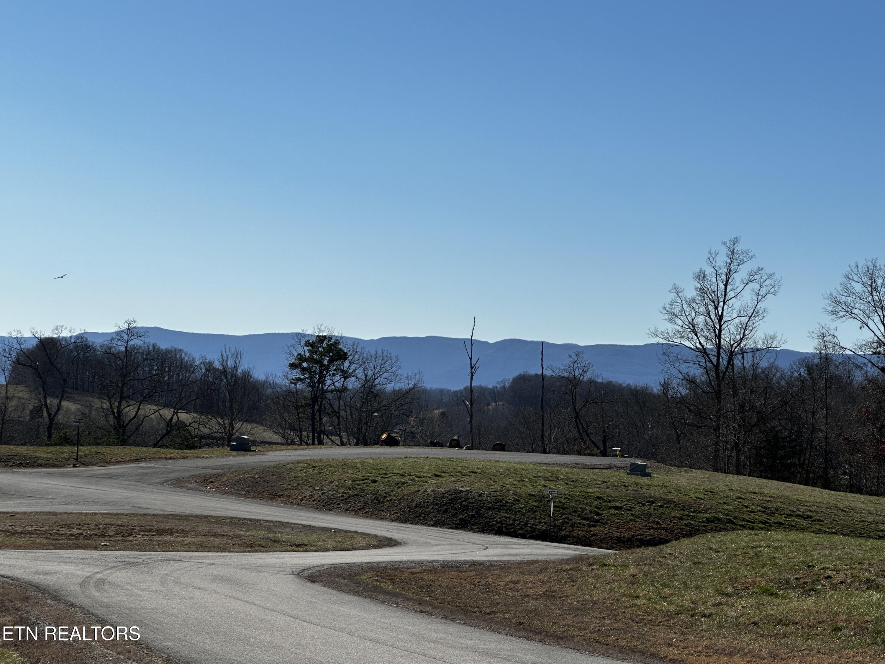 535 Prestige Ridge La Follette, TN 37766 - Photo 17 of 31 IMG_2111