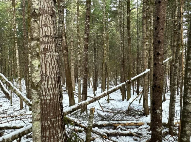 $23,000 | M11-l6 Woodville Road, Lincoln, ME 04457