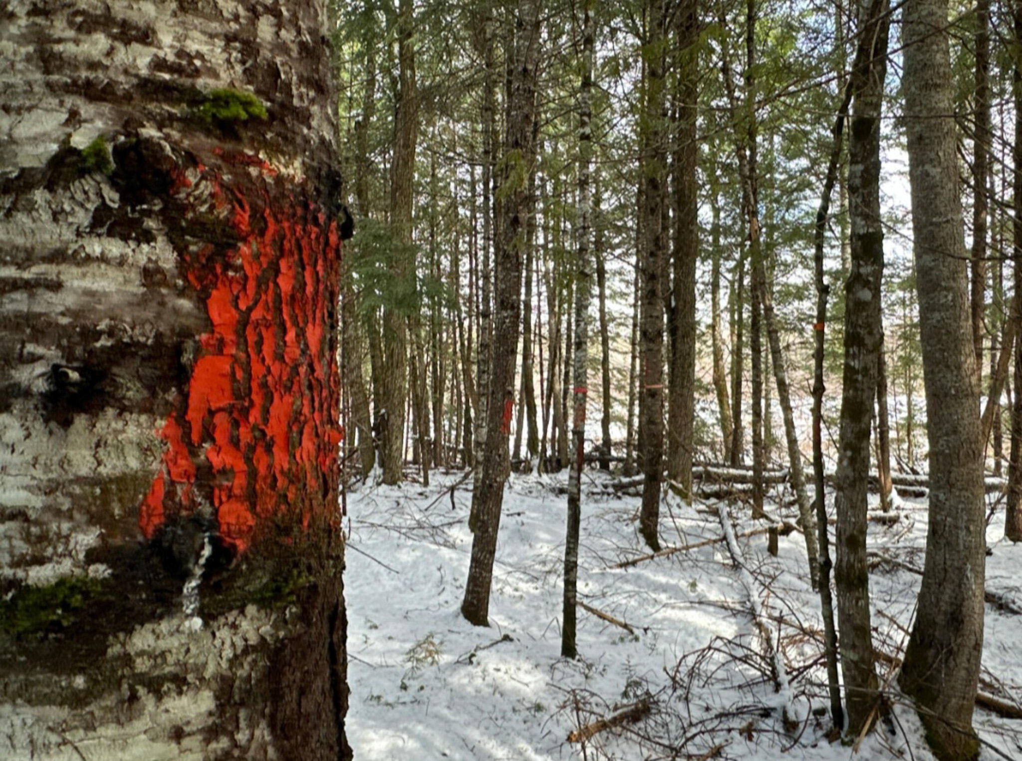 M11-l6 Woodville Road Lincoln, ME 04457 - Photo 12 of 14 12