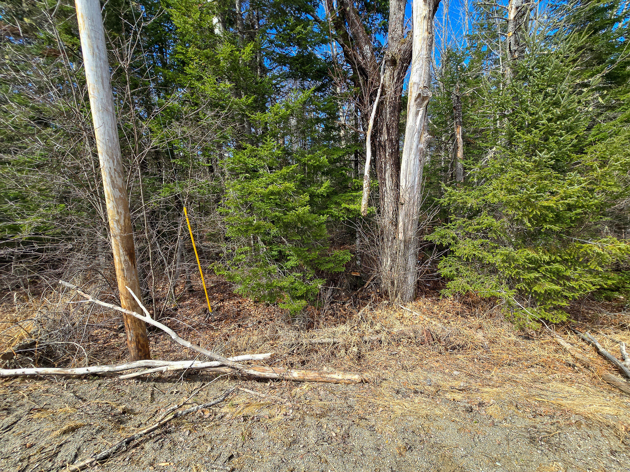 M11-l6 Woodville Road Lincoln, ME 04457 - Photo 3 of 14 3